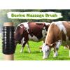 LuminescentDream Livestock Scratch Mats, 2 Pieces view 2