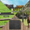 LuminescentDream Livestock Scratch Mats, 2 Pieces view 4