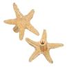 Uonlytech 2-Piece Brass Children's Cabinet Knobs, Nautical Star Design, Child-Friendly and Easy to Install view 1
