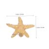 Uonlytech 2-Piece Brass Children's Cabinet Knobs, Nautical Star Design, Child-Friendly and Easy to Install view 2