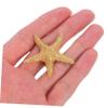 Uonlytech 2-Piece Brass Children's Cabinet Knobs, Nautical Star Design, Child-Friendly and Easy to Install view 4