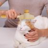 Self-Cleaning Pet Brush for Dogs & Cats view 3