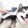 Dog Deshedding Brush, Cat Fur Removal Tool for Puppies view 2