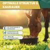 ALL-WIN Horse Golden Years 15 kg | Premium Senior Horse Feed | Oat-Free & No Added Sugar | With Amino Acids, Flaxseed & Timothy Hay view 4
