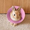 Bird Cone Collar for Small Animals, Protection Against Biting, Licking, and Scratch Wounds view 2