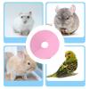 Bird Cone Collar for Small Animals, Protection Against Biting, Licking, and Scratch Wounds view 4