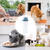 Genrico 1,500 mL Transparent Dog Treat Container with Dispenser view 4