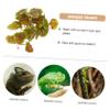 Mobestech Artificial Reptile Plant for Terrariums view 2