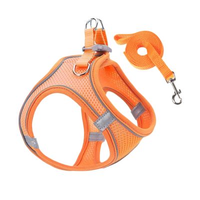 Dtaigou Dog Harness and Leash Set