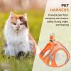 Dtaigou Dog Harness and Leash Set view 3