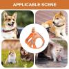 Dtaigou Dog Harness and Leash Set view 4