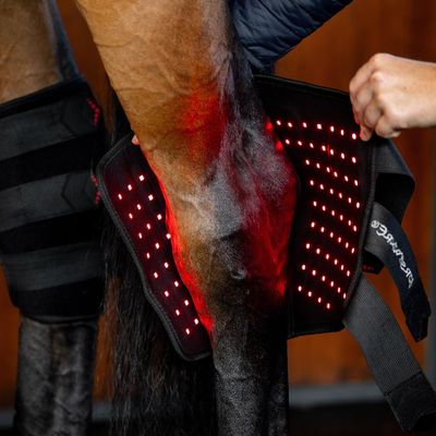 Horseware Ireland LED Red Light Therapy Left Hock Boot, Black