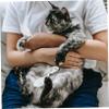 Milisten 2-Pack Ceramic Pet Food Scoops view 2