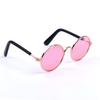 Pet Sunglasses view 4