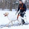 Dog Lifting Harness with Adjustable Straps and Soft Handle view 2