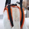 Dog Lifting Harness with Adjustable Straps and Soft Handle view 3