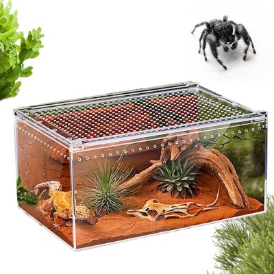 Jumping Spider Terrarium, Acrylic Terrarium for Reptiles, Snake Terrarium