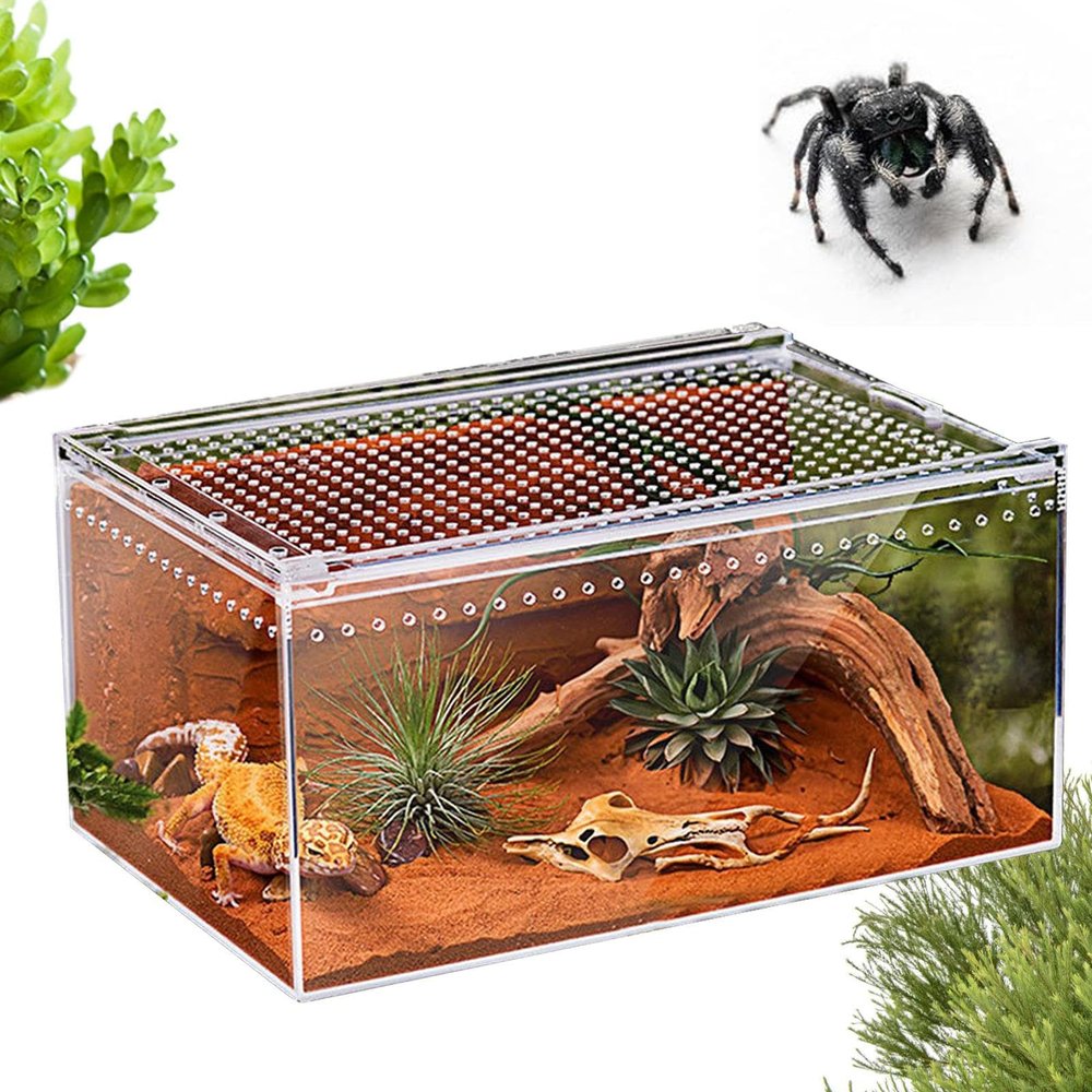 Jumping Spider Terrarium, Acrylic Terrarium for Reptiles, Snake Terrarium