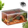 Jumping Spider Terrarium, Acrylic Terrarium for Reptiles, Snake Terrarium view 1