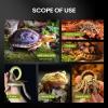 Jumping Spider Terrarium, Acrylic Terrarium for Reptiles, Snake Terrarium view 3