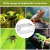 Jumping Spider Terrarium, Acrylic Terrarium for Reptiles, Snake Terrarium view 4