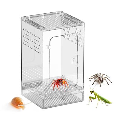 Arboreal Tarantula Enclosure, Transparent Acrylic, Escape-Proof