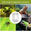 Arboreal Tarantula Enclosure, Transparent Acrylic, Escape-Proof view 4