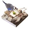Bird Toy for Parrots – Wood and Paper Chew Toy with Hammock and Window Perch view 1