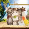 Bird Toy for Parrots – Wood and Paper Chew Toy with Hammock and Window Perch view 3