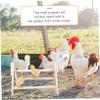 Wooden Chicken Perch for Chicken Coop, Poultry Perch view 2