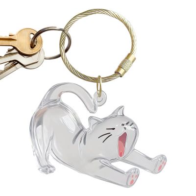 Pet Hair Keepsake Keychain