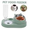 ERINGOGO Automatic Pet Water Bowl and Feeder, Plastic and Metal, Leak-Resistant Design, Unique Green Style view 3