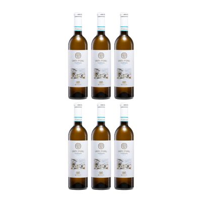 Casa Vinicola Bennati Corte Pitora Custoza Dry White Wine, Italy, with FeinWert E-Book (6 x 0.75 L)