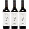 Wines N' Roses Viticultores Highway To Hell Tinto Red Wine, Dry, Organic, Vegan, Spain, incl. FeinWert E-Book (3 x 0.75 L) view 1
