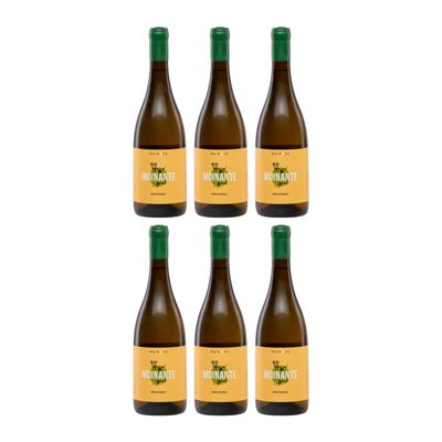 Mainova Moinante Branco Curtimenta Dry Vegan White Wine, Portugal, incl. FeinWert E-Book (6 x 0.75 L)