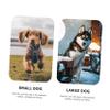 CORHAD Wind-Resistant Dog Stake view 4