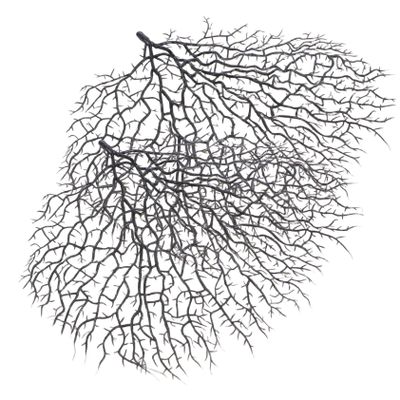 Decorative Coral Branches for Aquarium, 2-Piece Set, Black Plastic