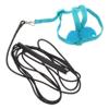 BAZEITFLOW Adjustable Parrot Harness with Elastic Leash view 1