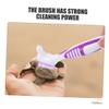 BELLIFFY Turtle Shell Cleaning Brushes - 3 Pack view 3