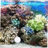 ibasenice Professional CO2 System with 3 Bags of White CO2 Diffuser Tablets for Aquarium Plants, Easy to Use and Long-Lasting Aquarium Supply view 4