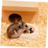Gatuida Hamster Food Bowl view 3