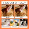 Gentle Ear Care Drops for Dogs | 30 Milliliters view 4