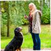 ORFOFE Dog Trainer Clicker with Wrist Strap view 4