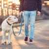 DIKACA Dog Trainer Clicker with Multi-Tone Function view 4