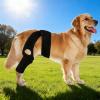 HouseVibe Adjustable Dog Knee Brace, Soft Breathable Hind-Leg Support, XS view 3