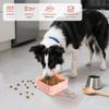 Portable Dog Bowl - Foldable Food Container - 500ml for Walks, Hiking, Camping, Travel view 2