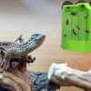 Anti-Escape Reptile Feeding Bowl with Climbing Corner view 2