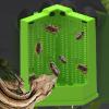 Anti-Escape Reptile Feeding Bowl with Climbing Corner view 3