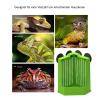 Anti-Escape Reptile Feeding Bowl with Climbing Corner view 4
