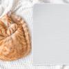 Gatuida Cooling Mat for Small Dogs and Cats view 4